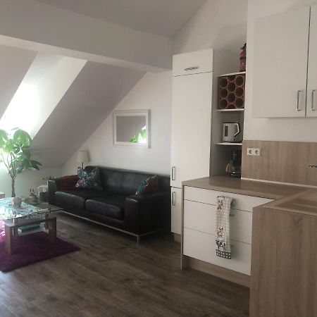 Old Bridge View Apartment Heidelberg Dış mekan fotoğraf