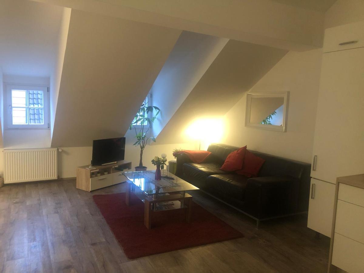 Old Bridge View Apartment Heidelberg Dış mekan fotoğraf